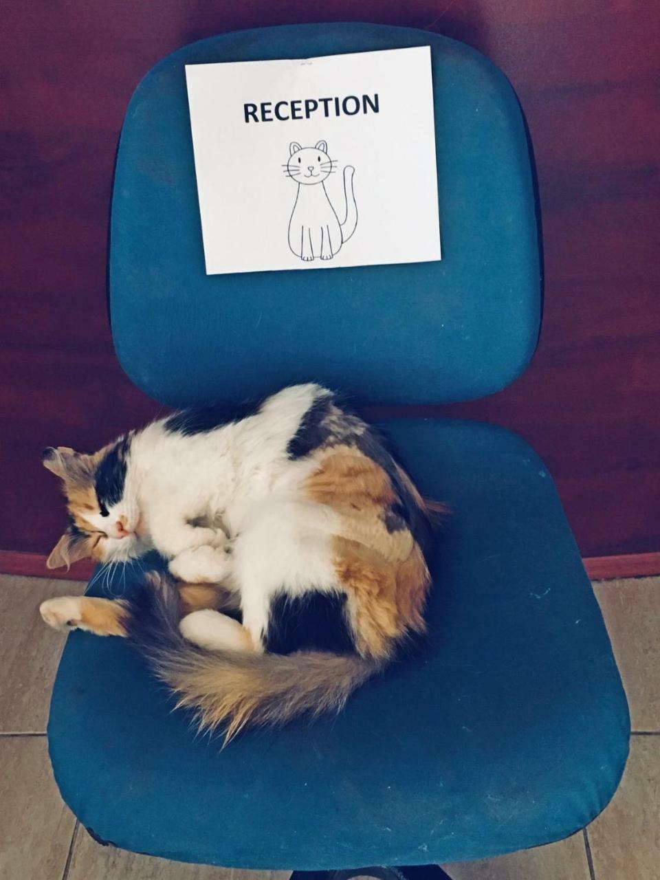 Bade Hotel Κεμέρ Εξωτερικό φωτογραφία